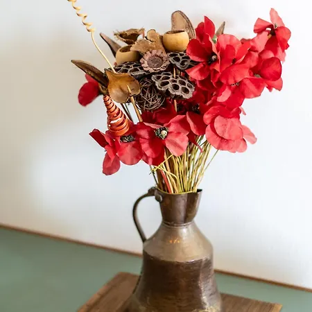 Domo Mea In Sinis Appartement *