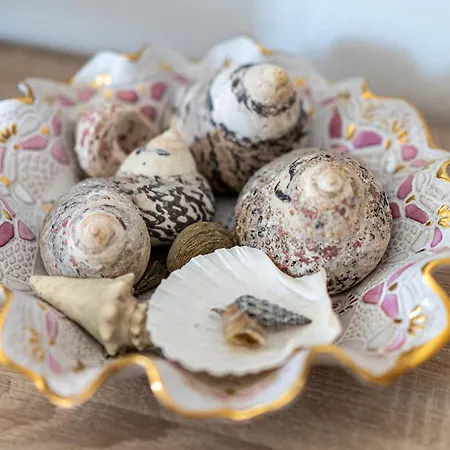 Domo Mea In Sinis Cabras